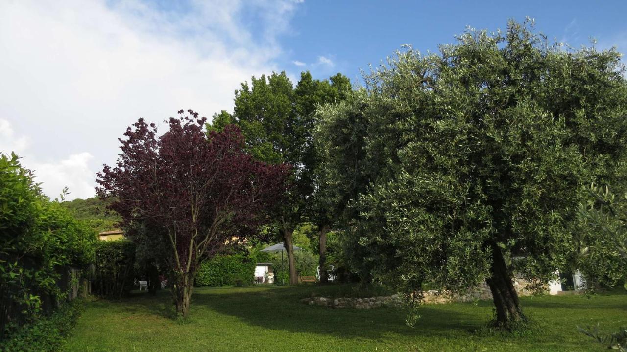 纳托Il Gelso Di Barcuzzi住宿加早餐旅馆 外观 照片