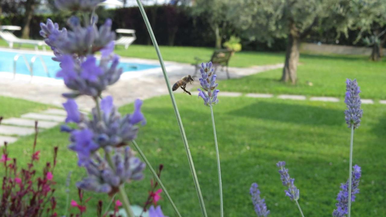 纳托Il Gelso Di Barcuzzi住宿加早餐旅馆 外观 照片